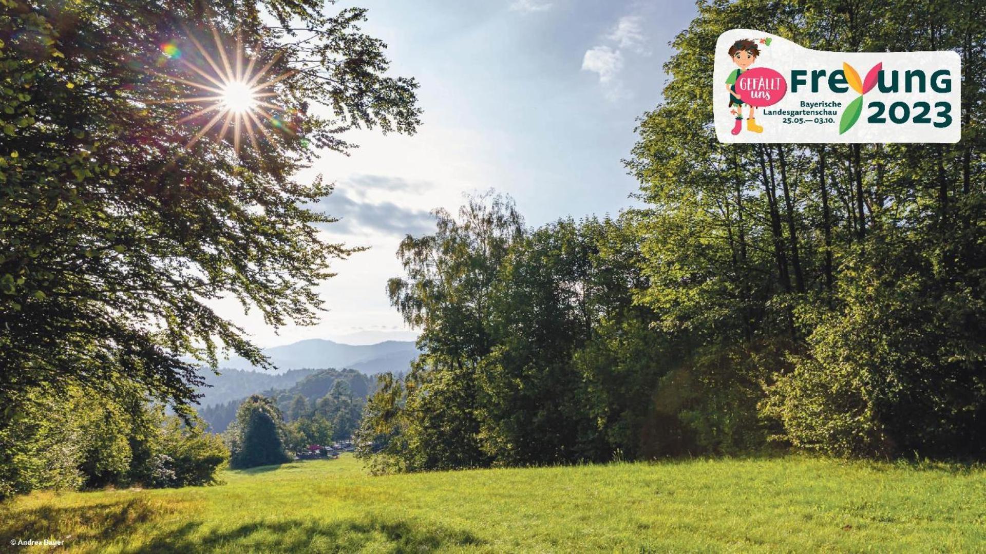 Ferienwohnungen Bayerischer Wald Mit Pool فرايونغ المظهر الخارجي الصورة